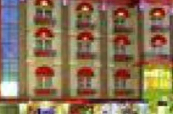 The Rivavi Hotel